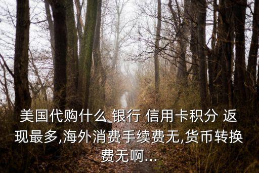 美国代购什么 银行 信用卡积分 返现最多,海外消费手续费无,货币转换费无啊...