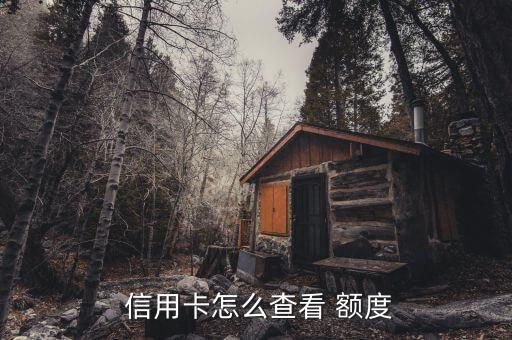  信用卡怎么查看 额度