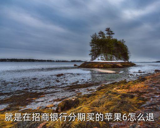 就是在招商银行分期买的苹果6怎么退