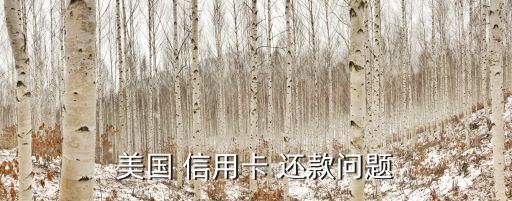 美国 信用卡 还款问题