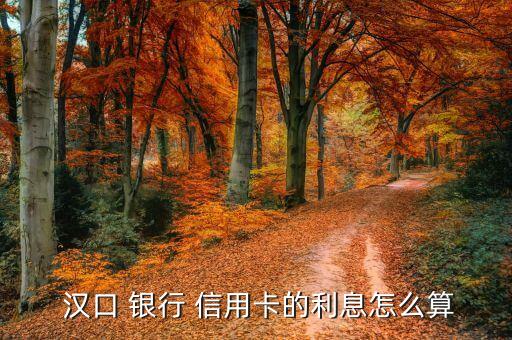  汉口 银行 信用卡的利息怎么算