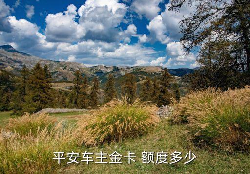 平安车主金卡 额度多少