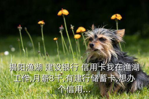 揭阳渔湖 建设银行 信用卡我在渔湖工作,月薪8千,有建行储蓄卡,想办个信用...