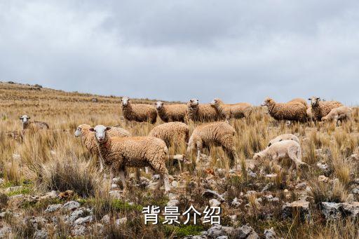背景介绍