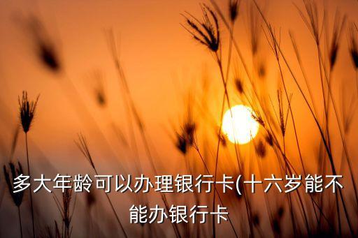 多大年龄可以办理银行卡(十六岁能不能办银行卡