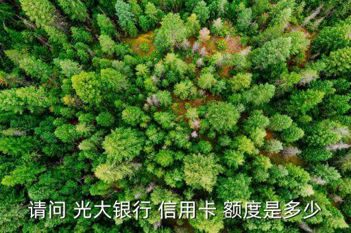 请问 光大银行 信用卡 额度是多少