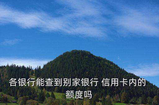 各银行能查到别家银行 信用卡内的 额度吗