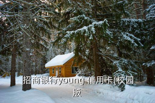 招商银行young 信用卡(校园版