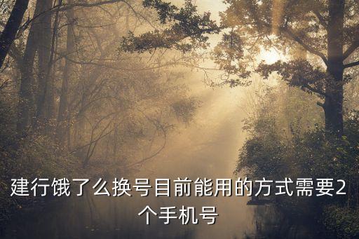 饿了么如何建设银行信用卡,建设银行信用卡申请多久能办下来