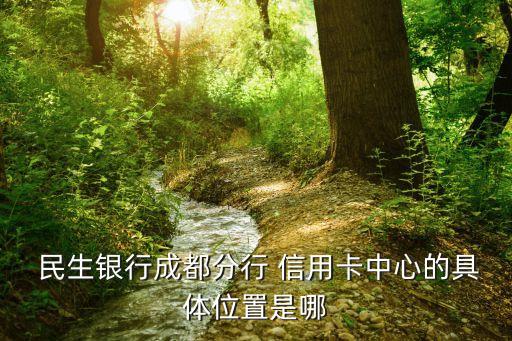  民生银行成都分行 信用卡中心的具体位置是哪