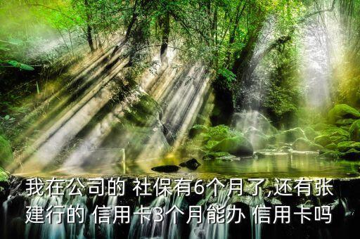 我在公司的 社保有6个月了,还有张建行的 信用卡3个月能办 信用卡吗