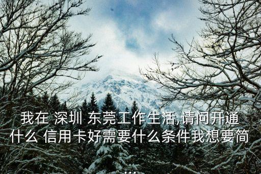 我在 深圳 东莞工作生活,请问开通什么 信用卡好需要什么条件我想要简...