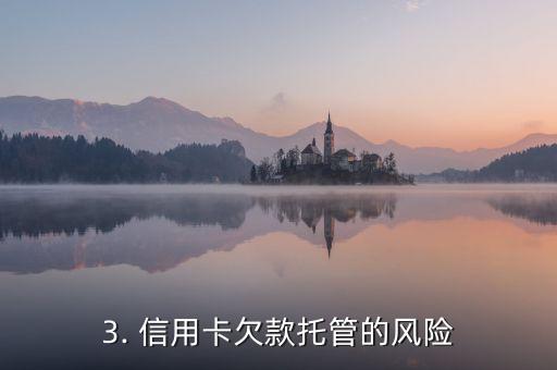 信用卡欠款托管，信用卡欠款管理方案