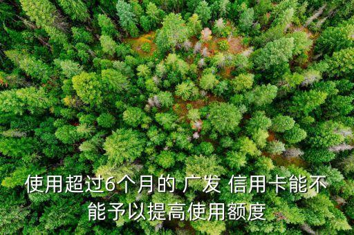 使用超过6个月的 广发 信用卡能不能予以提高使用额度