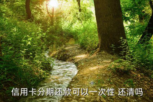  信用卡分期还款可以一次性 还清吗