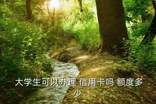 大学生信用卡给额度么,农行大学生信用卡0额度