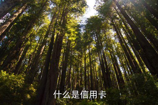 什么是信用卡