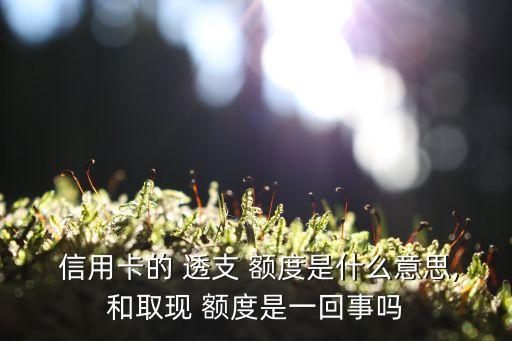 信用卡透支额度根据什么来的