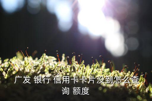  广发 银行 信用卡卡片没到怎么查询 额度