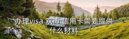 办理visa 双币 信用卡需要提供什么材料