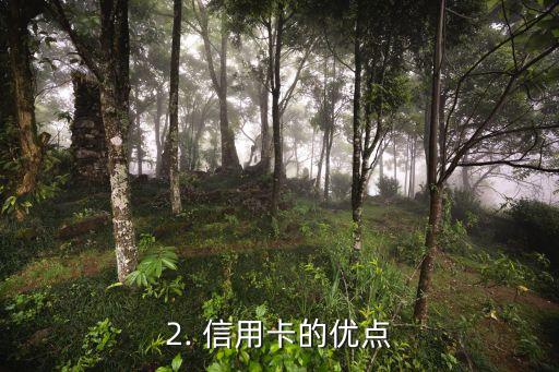 信用卡详情，信用卡信息概述