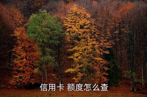  信用卡 额度怎么查