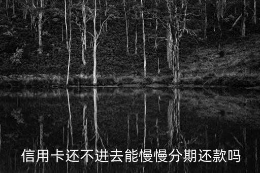 信用卡还不上全部分期吗