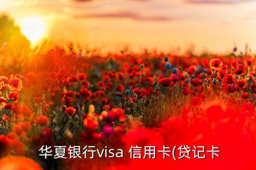  华夏银行visa 信用卡(贷记卡
