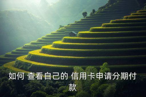 如何 查看自己的 信用卡申请分期付款