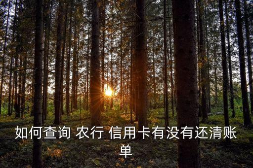 农行信用卡怎么查还款金额