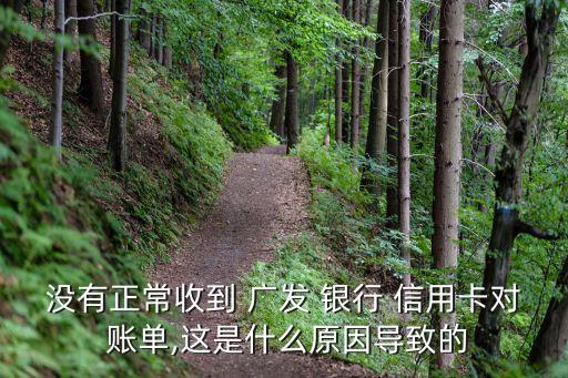广发银行信用卡不显示账单