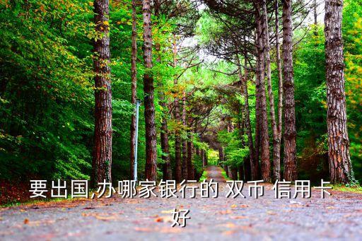 要出国,办哪家银行的 双币 信用卡好