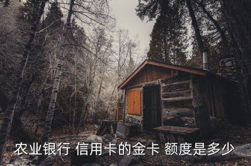 农业银行 信用卡的金卡 额度是多少