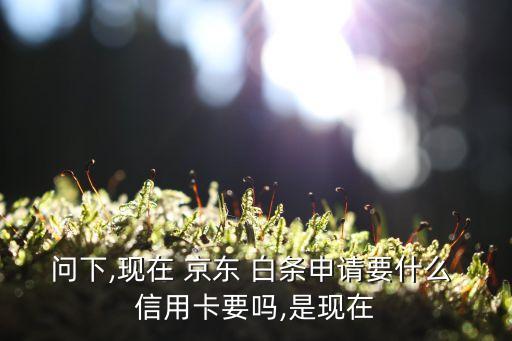 问下,现在 京东 白条申请要什么 信用卡要吗,是现在