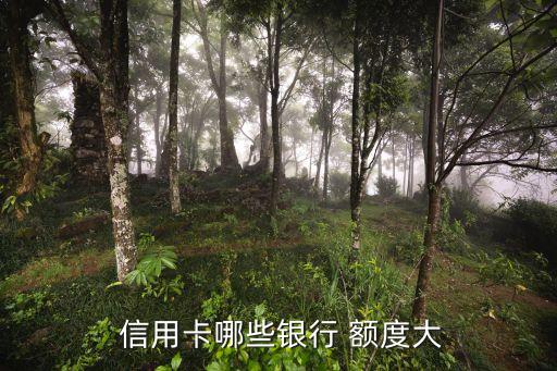 信用卡额度最新排行
