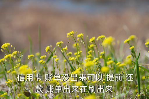  信用卡 账单没出来可以 提前 还款 账单出来在刷出来