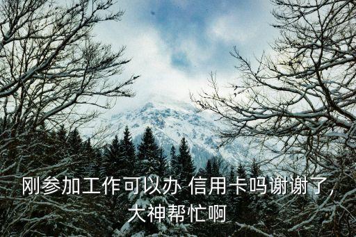 合同日薪可以申请信用卡吗