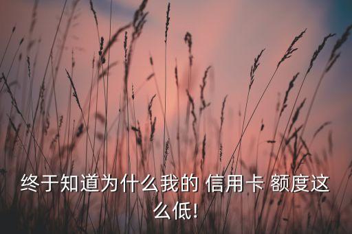 终于知道为什么我的 信用卡 额度这么低!