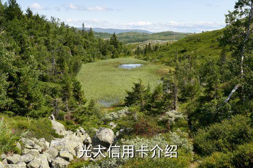 光大信用卡介绍