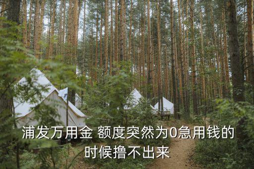  浦发万用金 额度突然为0急用钱的时候撸不出来