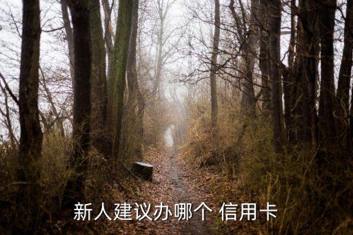 新人建议办哪个 信用卡