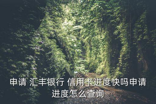 申请 汇丰银行 信用卡进度快吗申请进度怎么查询