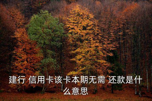 建行 信用卡该卡本期无需 还款是什么意思