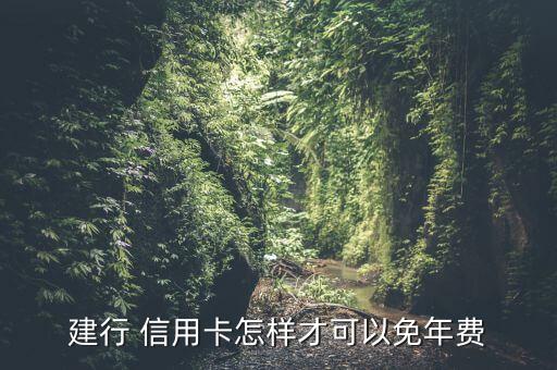 建设银行信用卡怎么还免费,千万别办建设银行信用卡
