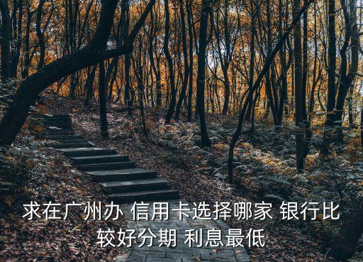 求在广州办 信用卡选择哪家 银行比较好分期 利息最低