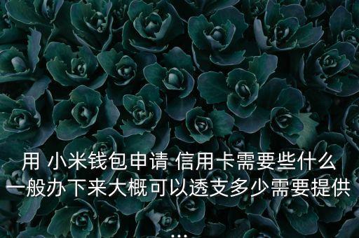用 小米钱包申请 信用卡需要些什么一般办下来大概可以透支多少需要提供...