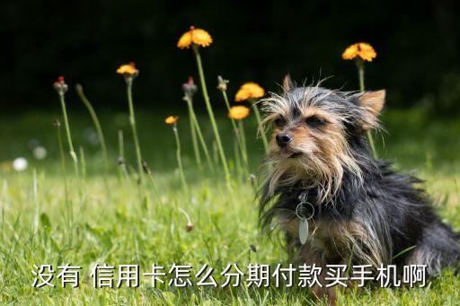 没有 信用卡怎么分期付款买手机啊