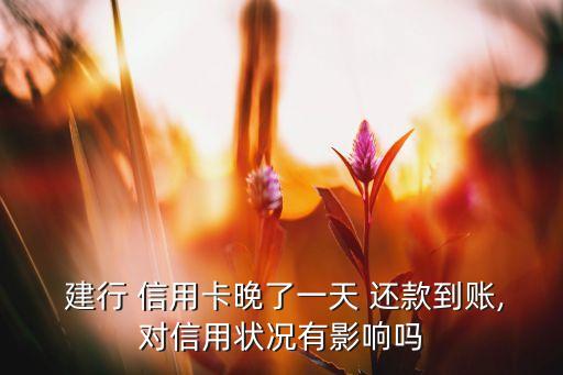  建行 信用卡晚了一天 还款到账,对信用状况有影响吗
