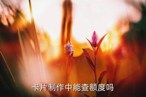 宁波银行信用卡正在制卡中