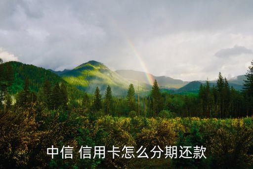 中信银行信用卡申请了6期